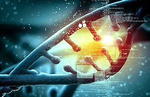 北京某商务中心方案 amronOS智能化小区/商务中心 互联网通讯机房方案本方案根据客户需求进行深度优化和整合后出具，整个系统由核心路由系统、防火墙系统、核心交
